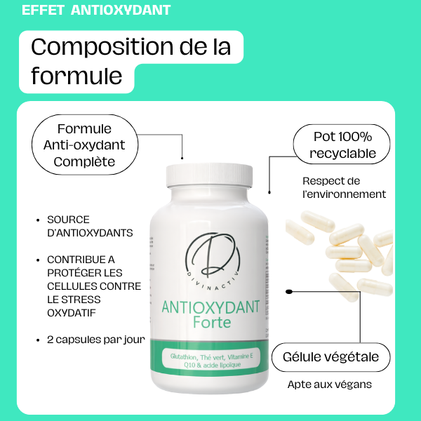 Antioxydant Forte – Image 3