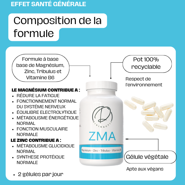 ZMA - 4 sels de Magnésium & Zinc – Image 3