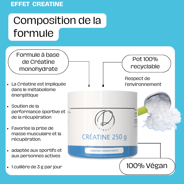 Créatine Monohydrate 250 g – Image 3