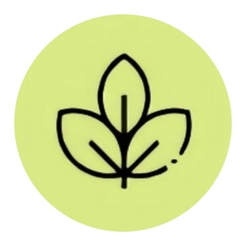 Produits sans nanoparticules