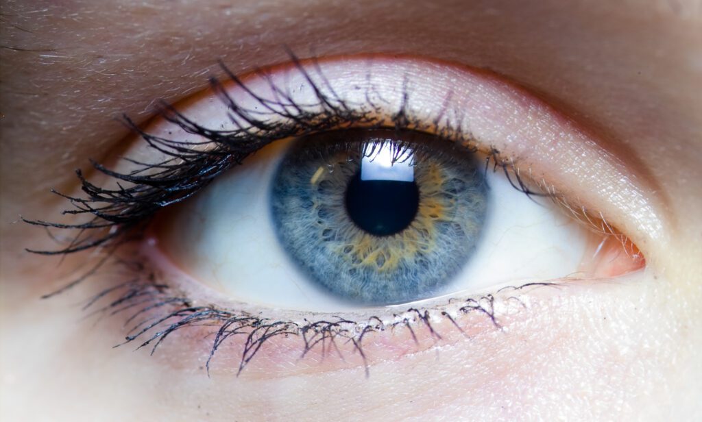 omega 3 pour la vue